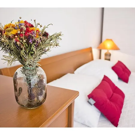 Best Of Spinut Appartement *